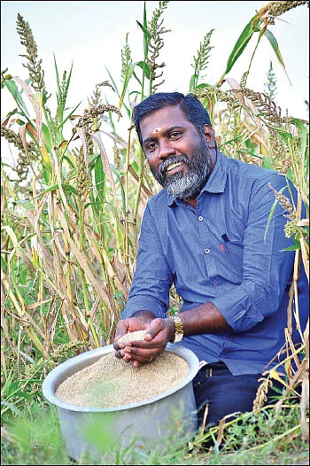 குதிரைவாலி... விதைப்பு, அறுவடை மட்டுமே... ஆடிட்டரின் அசத்தல் விவசாயம்!