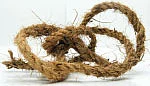 தேங்காய் மற்றும் தேங்காய் பொருட்கள்!