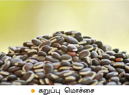 கறுப்பு மொச்சை...மானாவாரியிலும் குறைவில்லா லாபம்!