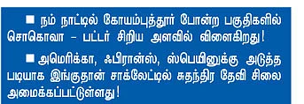 சாக்லேட் எடு... கொண்டாடு!