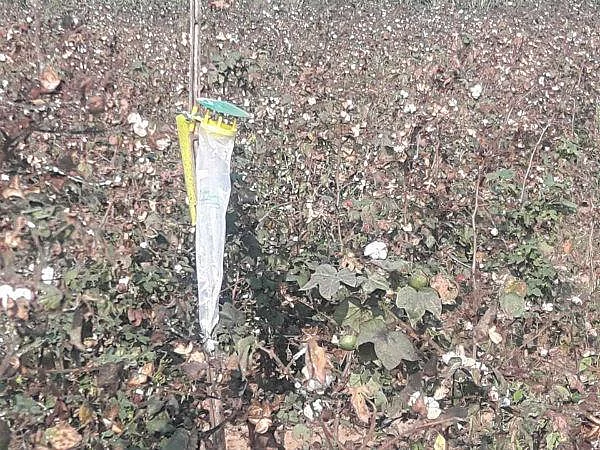 15 வருடங்களாக இங்கே விவசாயத் தற்கொலைகளே இல்லை... இயற்கை விவசாயத்தால் மீண்ட தெலங்கானா கிராமம்!