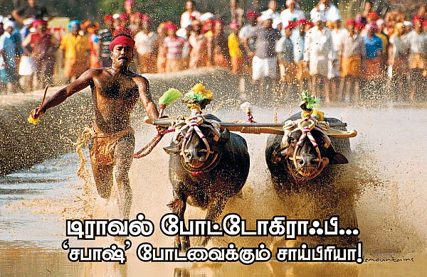 டிராவல் போட்டோகிராஃபி... ‘ சபாஷ்’ போடவைக்கும் சாய்பிரியா!