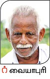 சீமைக் கருவேலமரம்... அத்தனை ஆபத்தானதா?