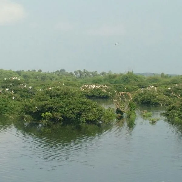 திறக்கப்பட்டது வேடந்தாங்கல் பறவைகள் சரணாலயம்!