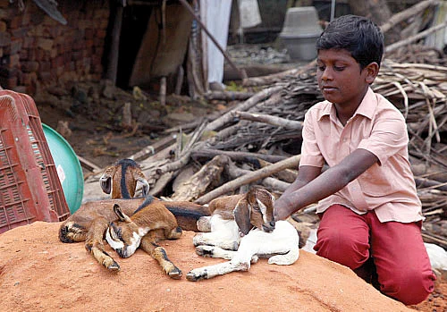 வீட்டை இழந்தோம்... புத்தகங்களையும் இழந்தோம்!