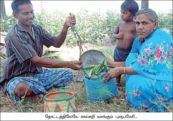 இடைத்தரகர் இம்சை போயாச்சு... இணையற்ற லாபம் வந்தாச்சு...