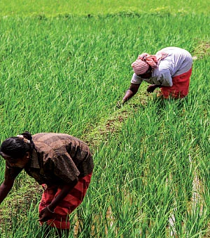 இந்தியாவின் பொருளாதாரம் பெண்கள் கையில்!