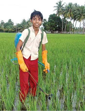 ஒரு நாள் விவசாயி!