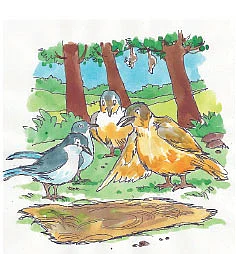 சின்னச் சின்ன வண்ணக் கதைகள் !
