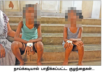 நாய்கள் ஜாக்கிரதை! - கண்டுகொள்ளாத காரைக்கால் நிர்வாகம்
