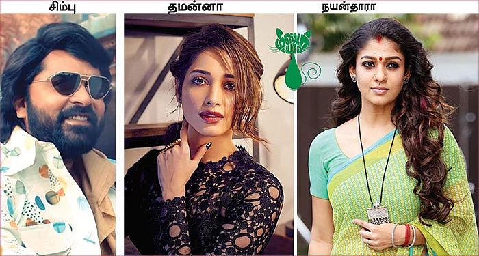மிஸ்டர் மியாவ்