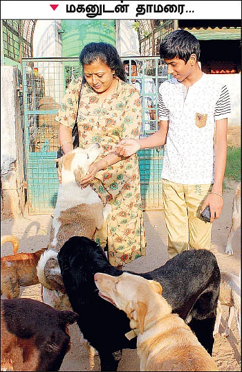 விலங்குகளை நேசிக்க குழந்தைகளைப் பழக்குங்கள்!