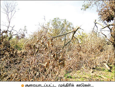இதற்கு உயிரே போயிருக்கலாம்...