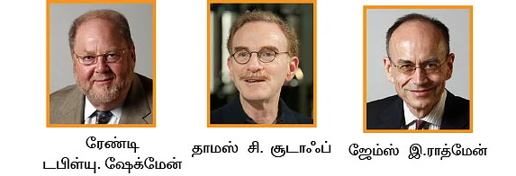 அக்கம் பக்கம்