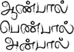 ஆண்பால் பெண்பால் அன்பால் - 15