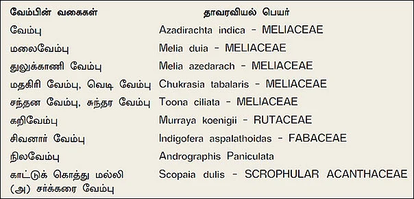 நல்மருந்து - தெரிந்த செடிகள்... தெரியாத பயன்கள்! - 8