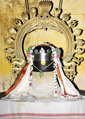 சகல தோஷங்களும் நீங்கி சந்தோஷம் பெருகிட... தினம் ஒரு திருமந்திரம்!
