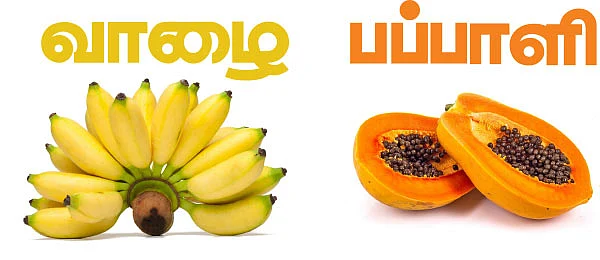 வாழை, பப்பாளி