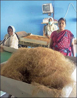 தேங்காய்நார் தொழில்... தெளிவான வழிகாட்டி!