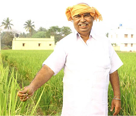 பஞ்சகவ்யா - 10