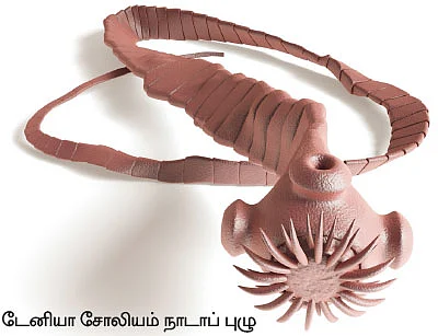 உணவால் பரவும் நோய்கள் உஷார்!