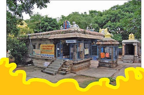 ராகு தோஷம் நீக்கும் செங்காணி!