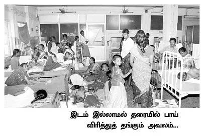 தெற்கே... டெங்கு!