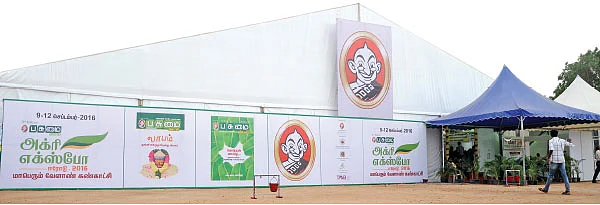 “கெண்டை மீனுக்கு எப்போதும் கிராக்கிதான்!”