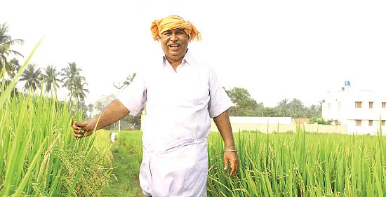 பஞ்சகவ்யா - 15