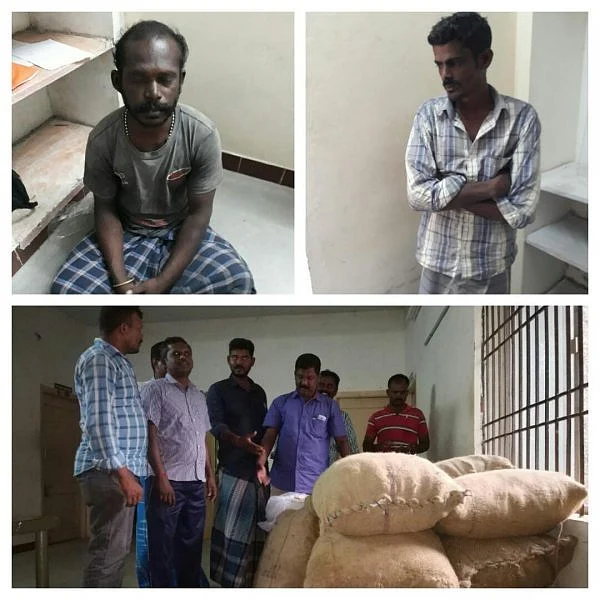 பாம்பன் டு இலங்கை... இரவில் சிக்கிய ரூ.1.50 கோடி கடல் அட்டைகள்!