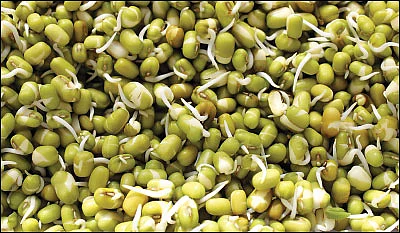 நலம் காக்கும் பரிசு!