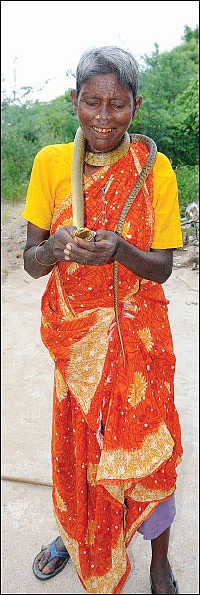 “பாம்பெல்லாம் எனக்கு பச்சப்புள்ள மாதிரி!”