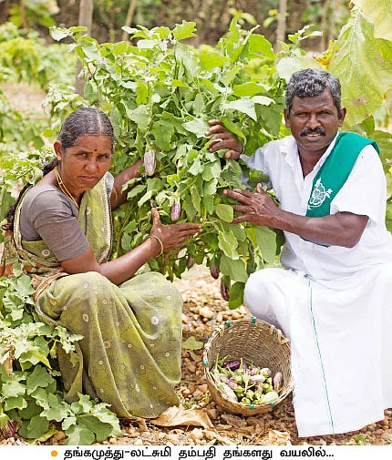 கூழாங்கல் நிலத்தில் குதூகல கத்திரி!