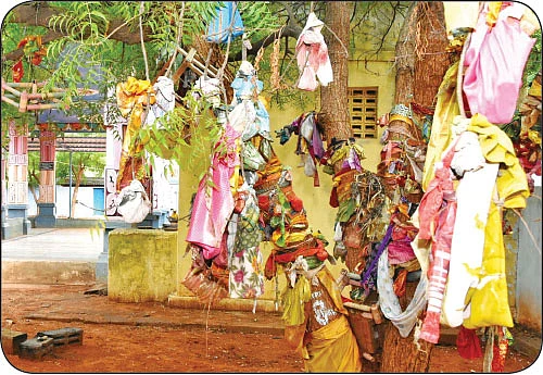 ‘ஐயனார் அருளால் வியாபாரம் சிறக்கும் வாழ்க்கைச் செழிக்கும்!’