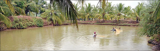 நீங்கள் கேட்டவை