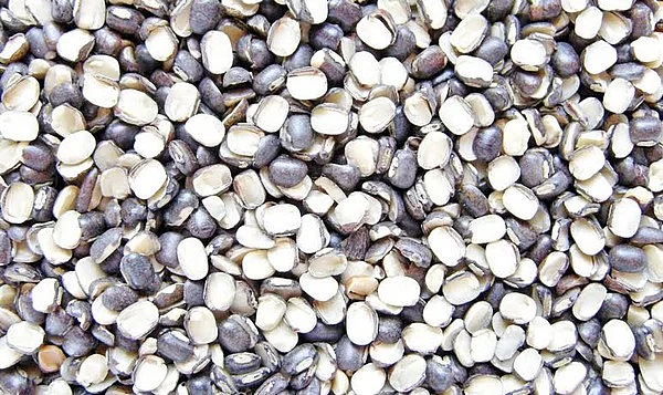 பருப்பு விலை நெருப்பாக சுட காரணம் என்ன?