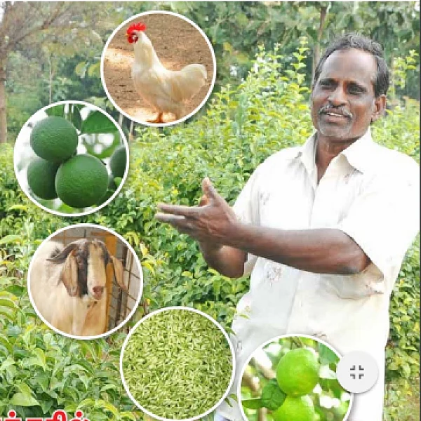 ₹3 Lacs from 4 Acres... Bonanza from Integrated Farming..!