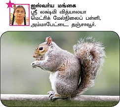 சுட்டி நியூஸ் - இது எங்க ஏரியா