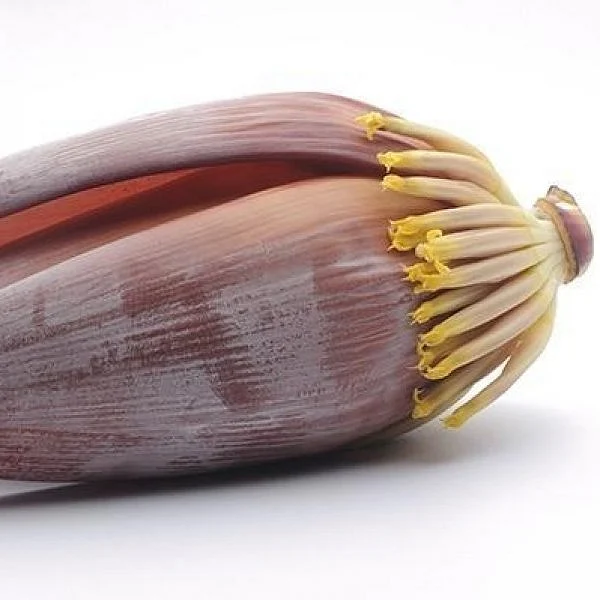 Banana blossoms: Protects the uterus, increases life span, cures infertility