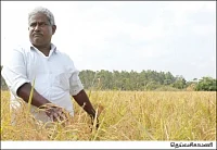 மனைக்காக வாங்கிய நிலத்தில்... மனம் குளிரும் விவசாயம்..!
