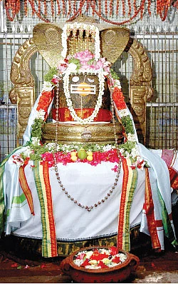 சகல தோஷங்களும் நீங்கி சந்தோஷம் பெருகிட... தினம் ஒரு திருமந்திரம்!