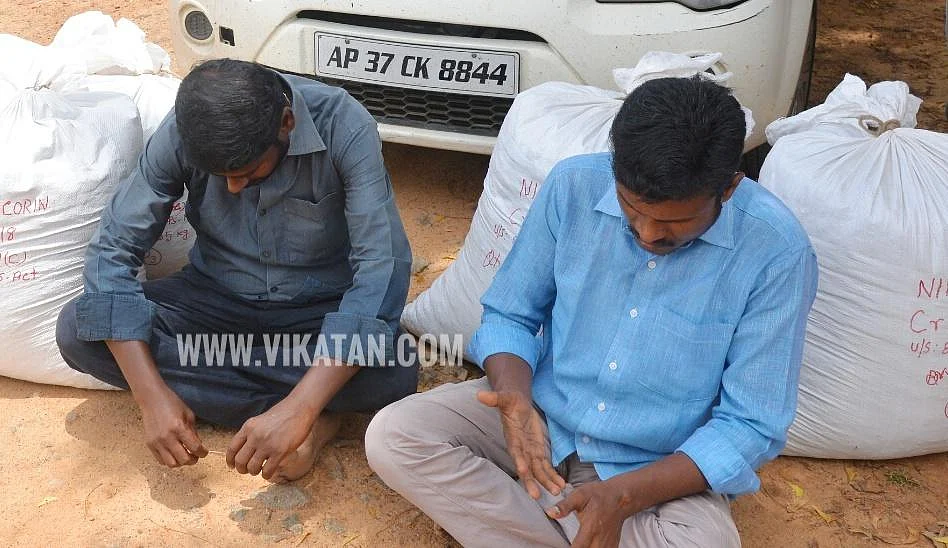 தூத்துக்குடியில் 102 கிலோ கஞ்சா பறிமுதல்! கடத்தலில் ஈடுபட்ட 2 பேர் கைது