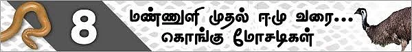 மண்ணுளி முதல் ஈமு வரை! (மிரள வைக்கும் கொங்கு மோசடிகள் - 11)