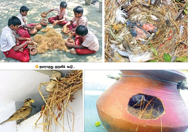 ஏ..குருவி சிட்டுக்குருவி..!