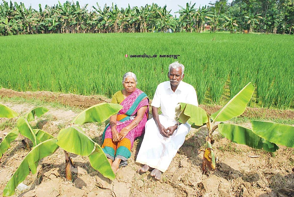 "விவசாயம் எங்களோட முடிஞ்சிருமா..?!"