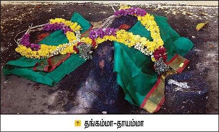 தங்கம்மா தாயம்மா