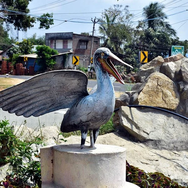 வெளிநாட்டு பறவைகளால் வண்ணமயமான வடுவூர் பறவைகள் சரணாலயம் படங்கள்: ர.கண்ணண்