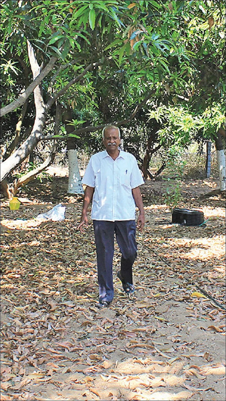 மா... தென்னை... எலுமிச்சை... காய்கறிகள்... ஆண்டுக்கு ரூ. 3,33,000 வருமானம்!