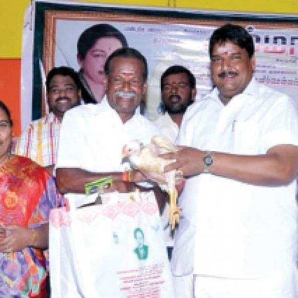 உயிரோடு ஏழாயிரம் கோழிகள்! - அ.தி.மு.க எம்.எல்.ஏ தீபாவளி பரிசு...