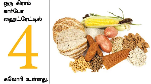 ஊட்டச்சத்து வழிகாட்டி!